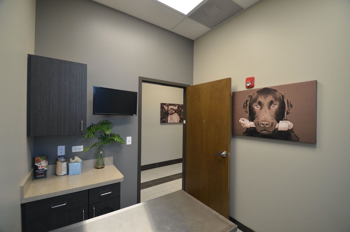 Animal Care Center of Downers Grove Exam Room