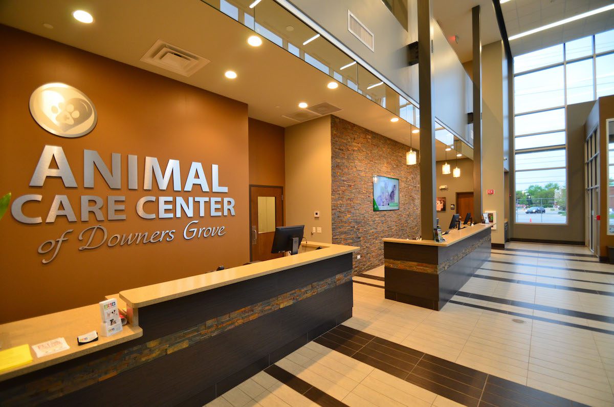 Animal Care Center of Downers Grove Front Desk