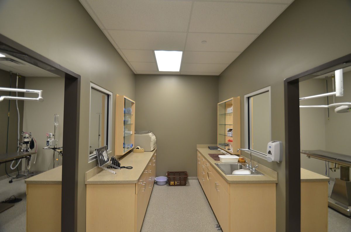 Animal Care Center of Downers Grove Treatment Area