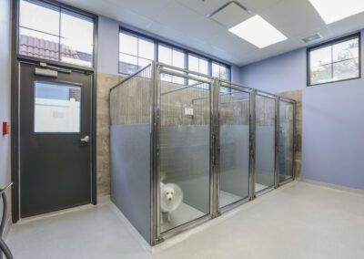 Carriage Animal Hospital interior kennels