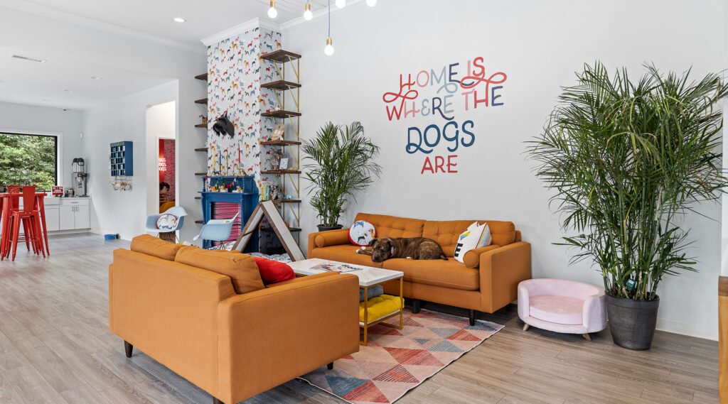 Second City Canine Rescue lobby with dog laying on couch.