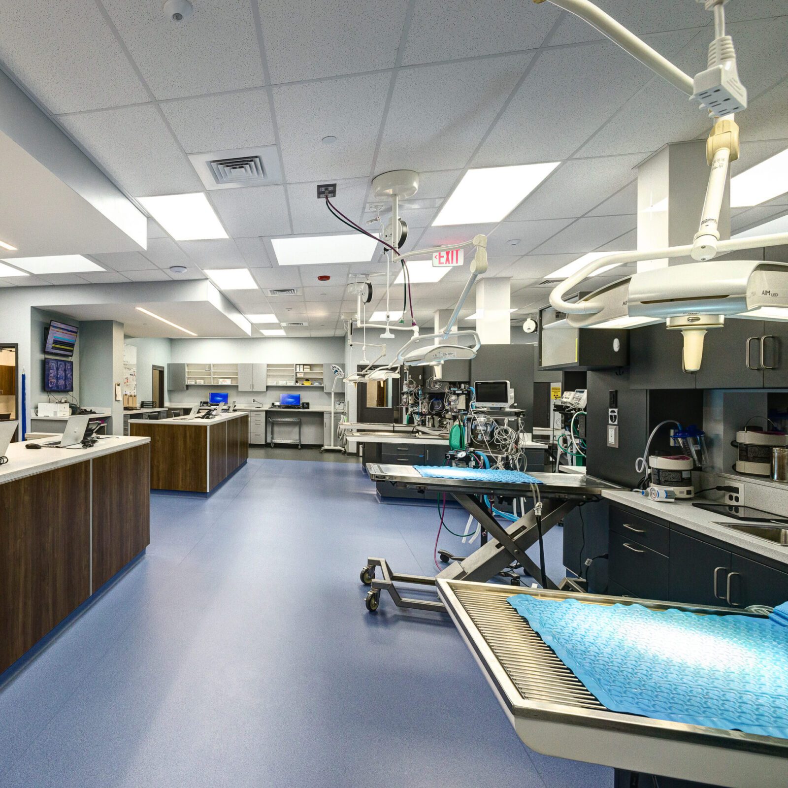 Veterinary Specialty Center treatment area.
