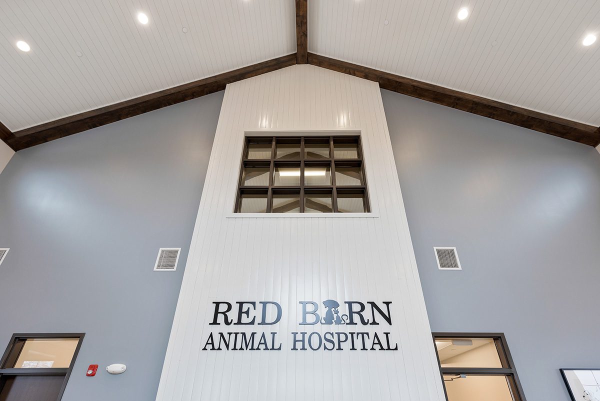 Red Barn Animal Hospital Lobby Accent Wall