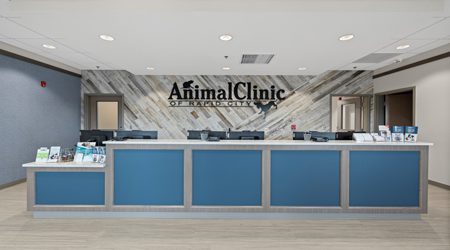 Animal Clinic of Rapid City
