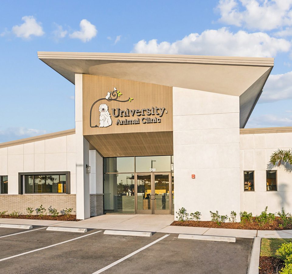 Exterior of University Animal Clinic that is large with a slanted roof with white siding and yellow acecnt paneling.
