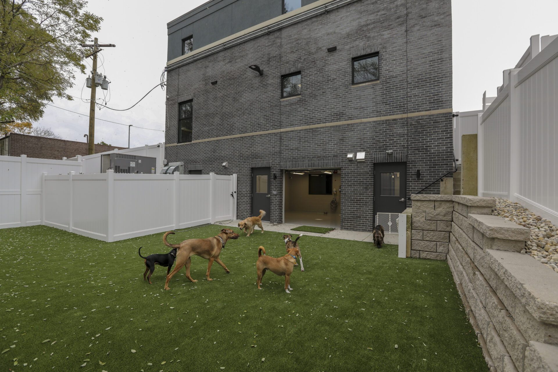 boarding groomng care 