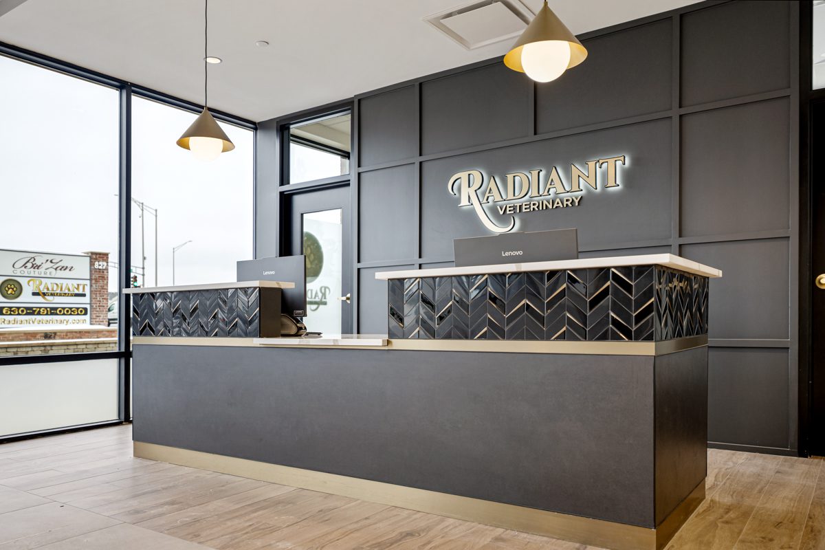 Radiant Veterinary reception area designed and built by RWE Design Build in Naperville, Illinois