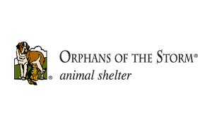 Orphans Of The Storm